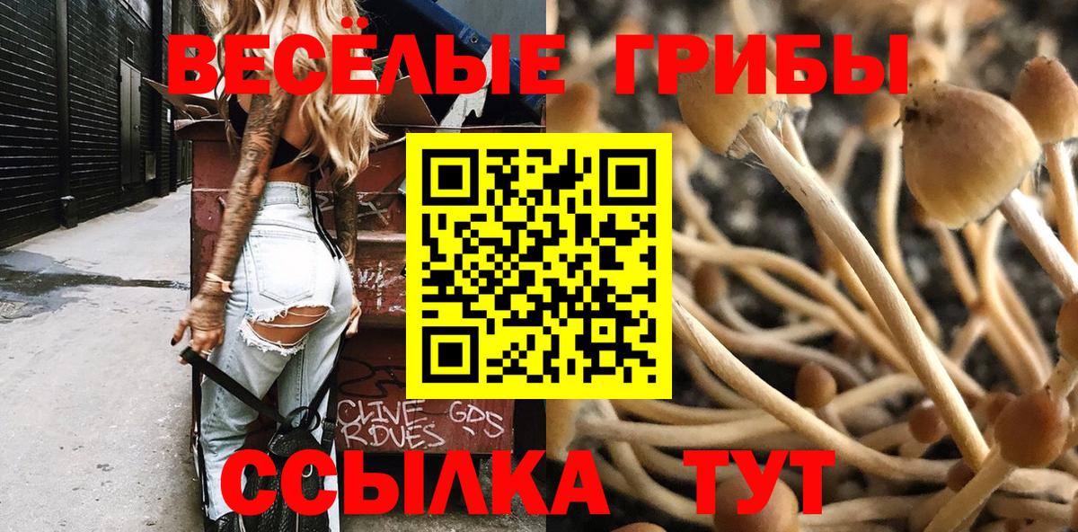 Большой Камень  Псилоцибиновые грибы ЛСД  Вход с VPN 