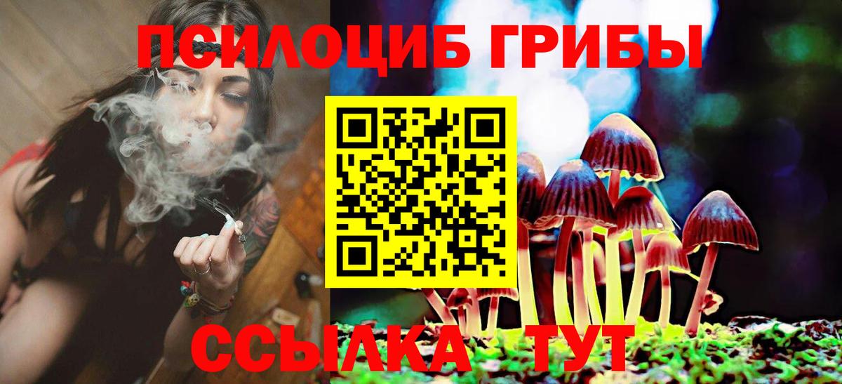 Галлюциногенные грибы ЛСД Большой Камень